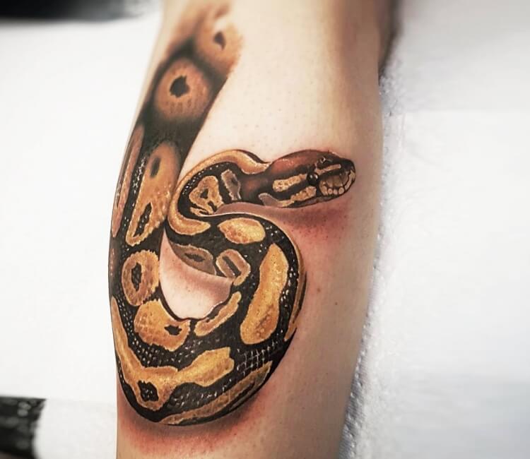 Top 50 Snake Tattoos